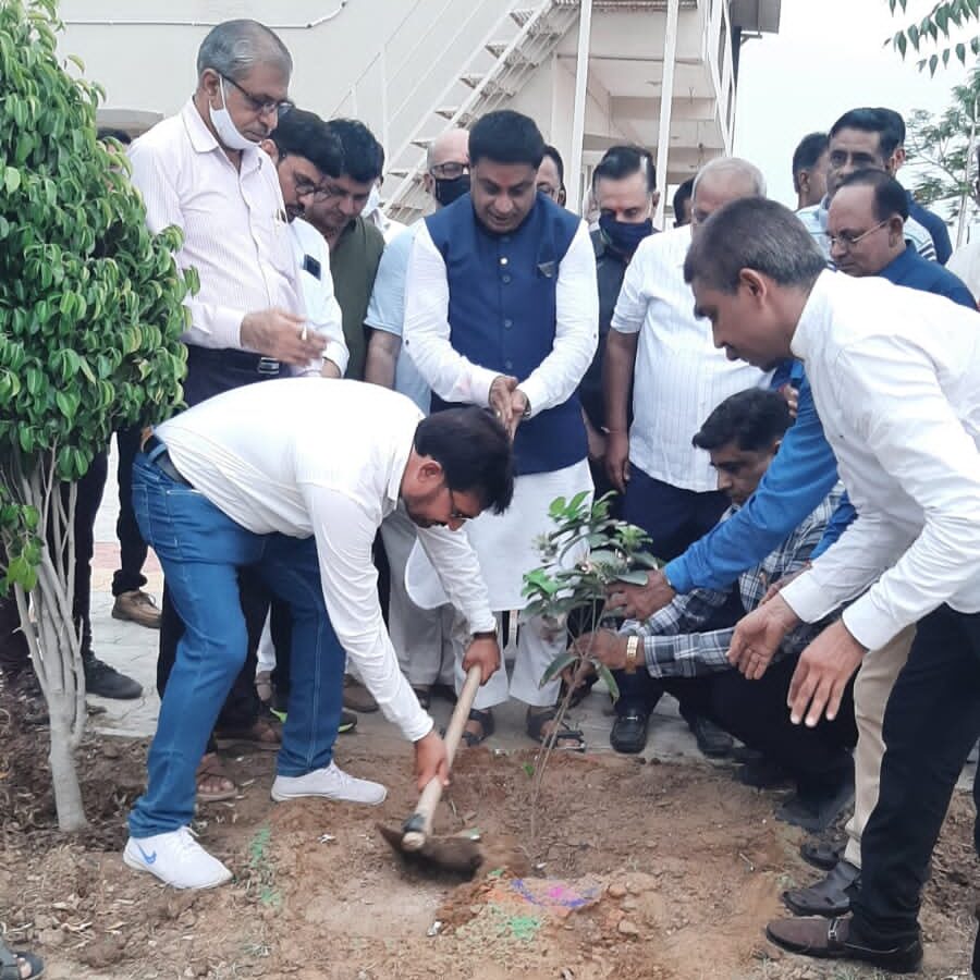 શ્રી લોહાણા મહાપરિષદ પર્યાવરણ સમિતિ રાધનપુર દ્વારા વૃક્ષારોપણ અને પર્યાવરણ જાગૃતિ સેમિનાર યોજાયો